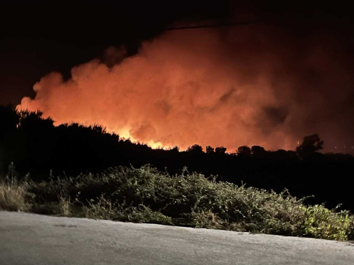 Φωτιά στο Ηραίο Σάμου κοντά στον αρχαίο ναό της Ήρας - Φωτογραφίες από το πύρινο μέτωπο