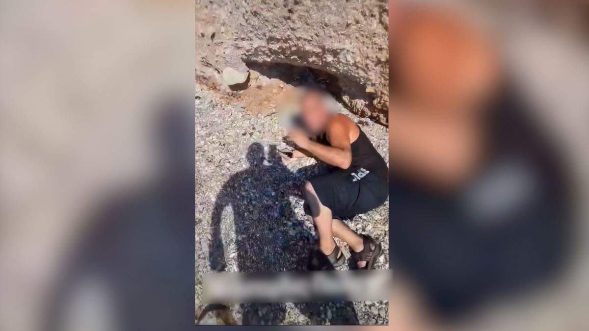 Έσωσε 20χρονη από βιασμό στη Σαλαμίνα και τουλούμιασε τον δράστη στο ξύλο