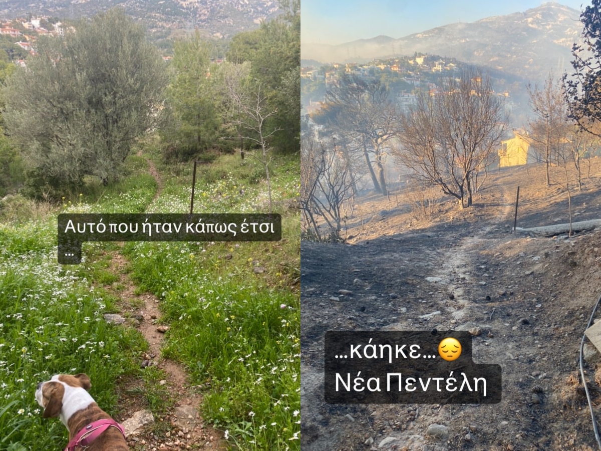 Αθηναΐς Νέγκα: Εικόνες από το σπίτι της πριν και μετά το πέρασμα της φωτιάς στη Πεντέλη