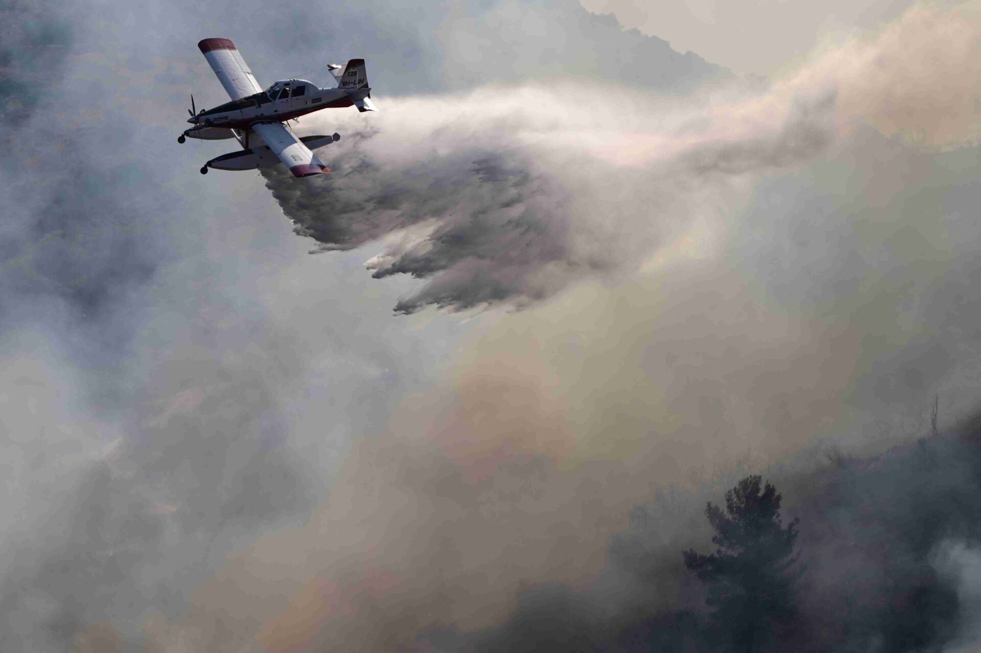 fotia-6283100-scaled-1