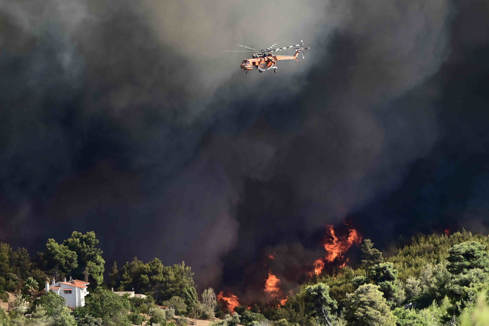 fotia-6289307-scaled-2