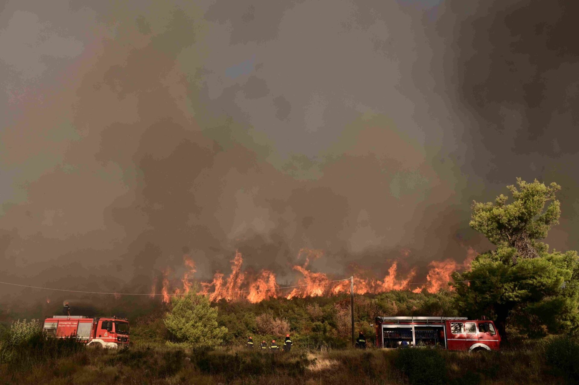 fotia-6289611-scaled-1