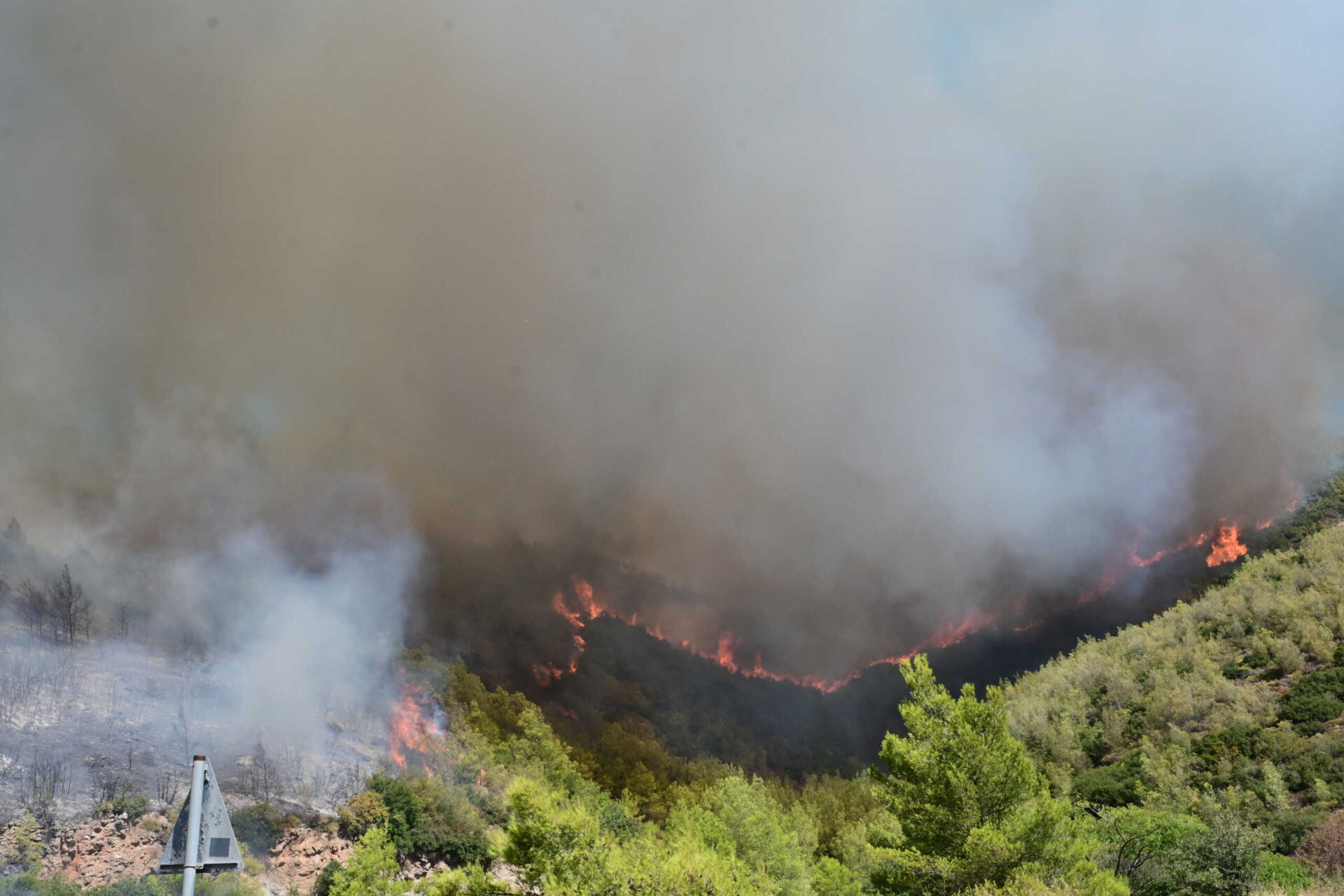 fotia_eurok19-scaled-1