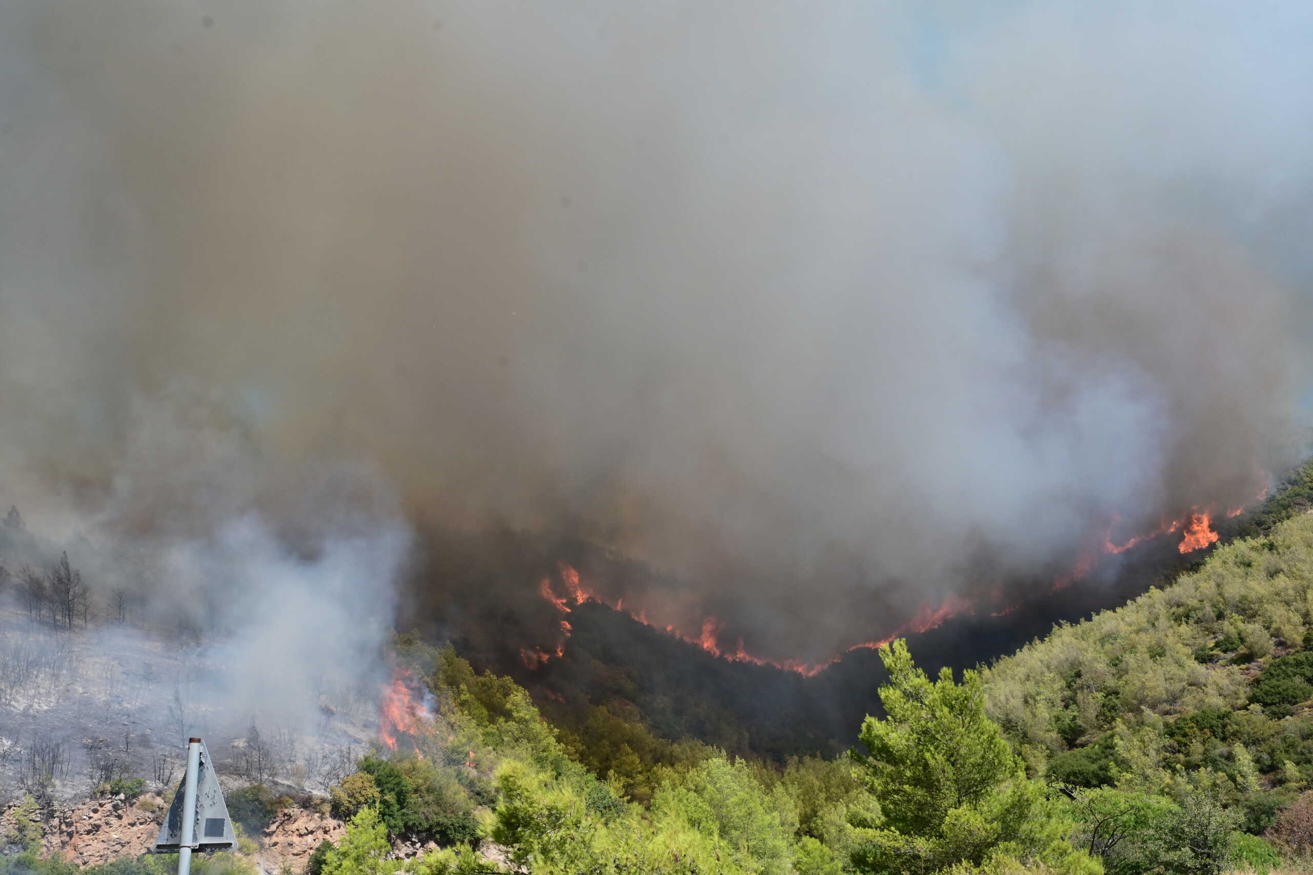 Όλες οι παρατάσεις και διευκολύνσεις της ΑΑΔΕ προς ιδιώτες και επιχειρήσεις που επλήγησαν από τη φωτιά στην Βορειοανατολική Αττική