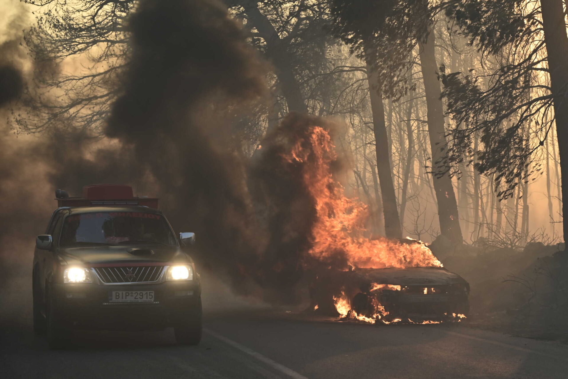 fotia_eurok_penteli65-scaled-1