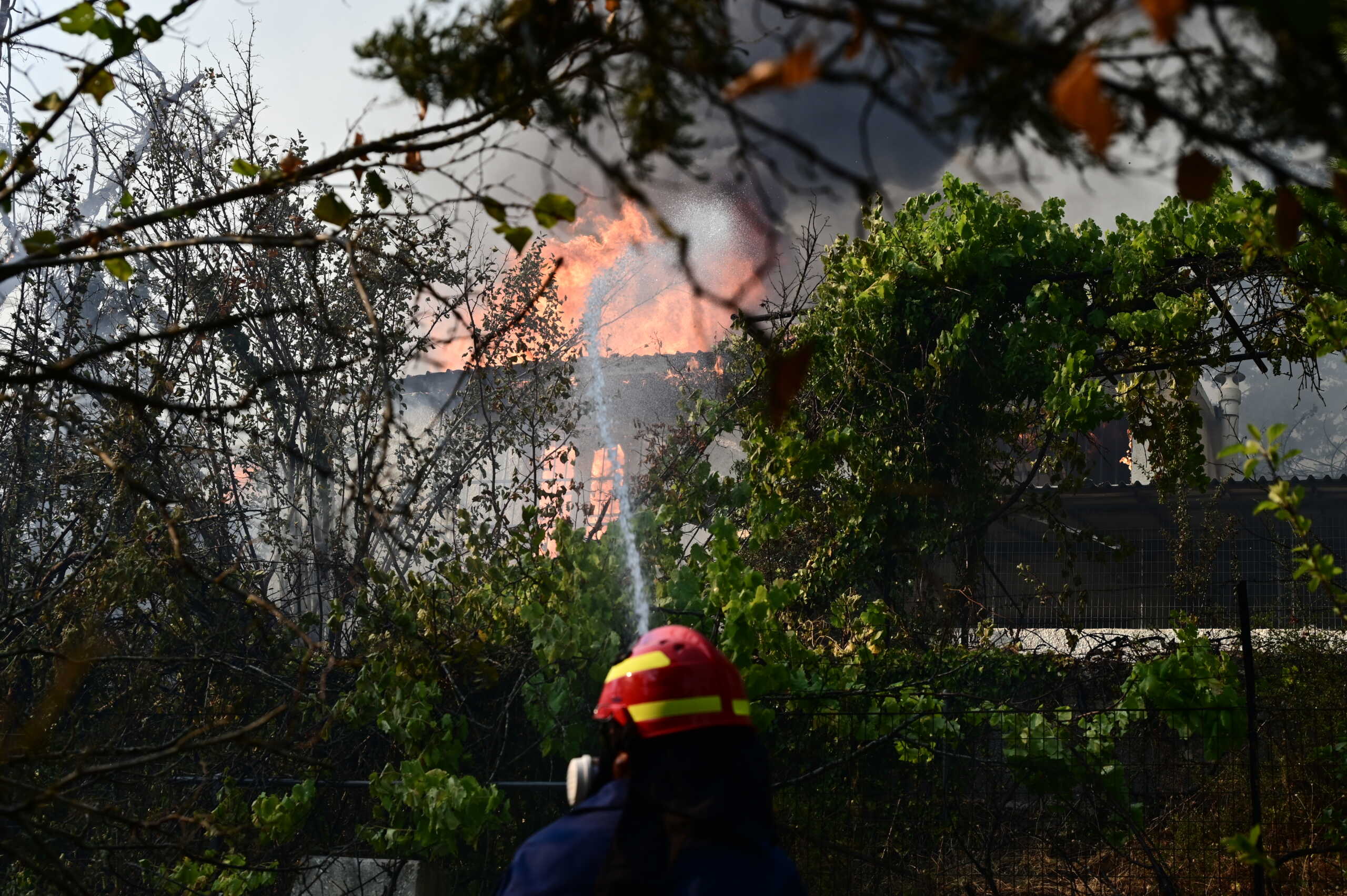 Πάνω από 500 πυροσβέστες και 29 εναέρια μέσα δίνουν μάχη με τις φλόγες σε Βαρνάβα και Πεντέλη