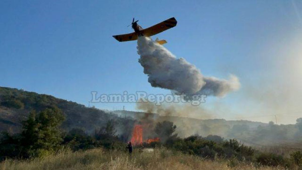 Φωτιά στο Πήλιο στην περιοχή Πλατανιάς, ισχυρές δυνάμεις στο σημείο