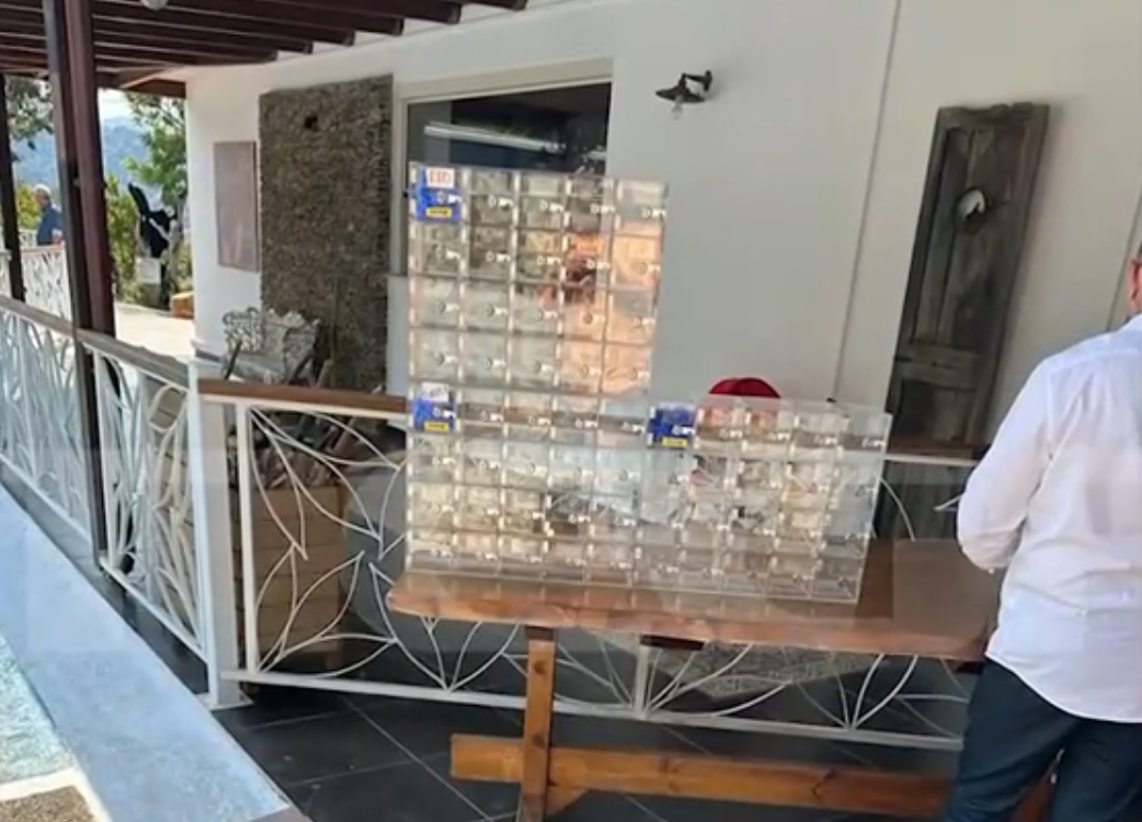 Στέφανος Κασσελάκης και Τάιλερ Μακμπέθ παρτάρουν μετά τους όρκους αγάπης - Η βίλα με την πισίνα 140 τετραγωνικών