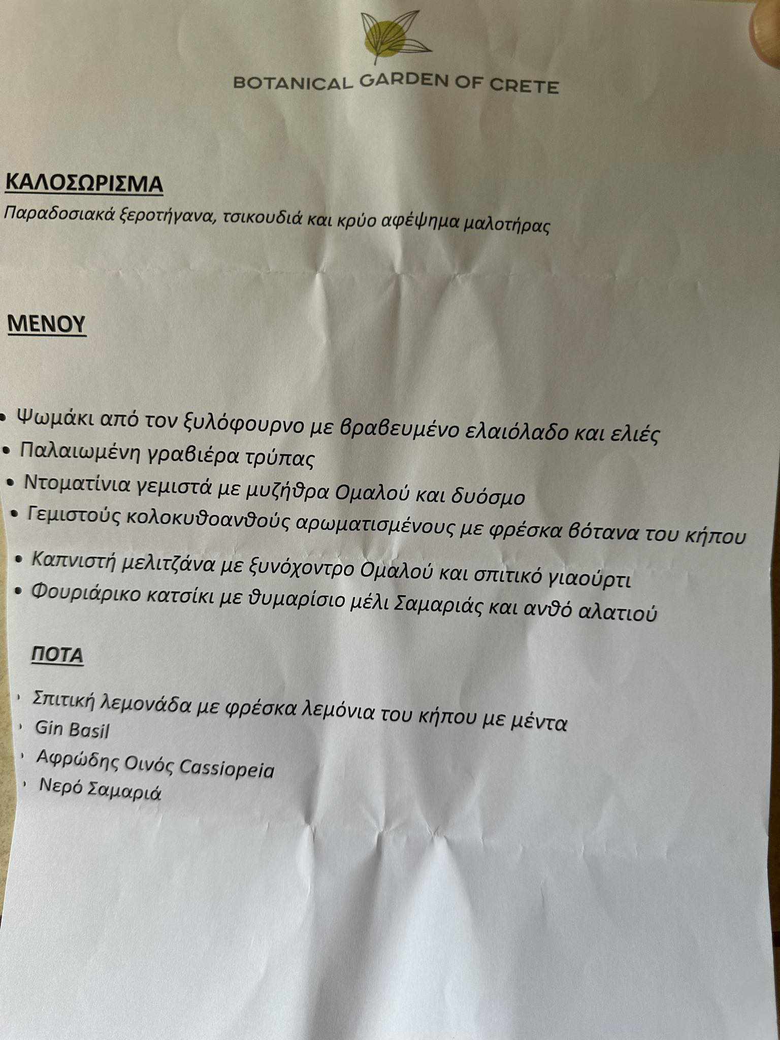Όλα έτοιμα για την ανταλλαγή όρκων του Στέφανου Κασσελάκη με τον Τάιλερ Μακμπέθ - Το πλούσιο μενού στο Βοτανικό Κήπο, τα βιολιά και οι καλεσμένοι