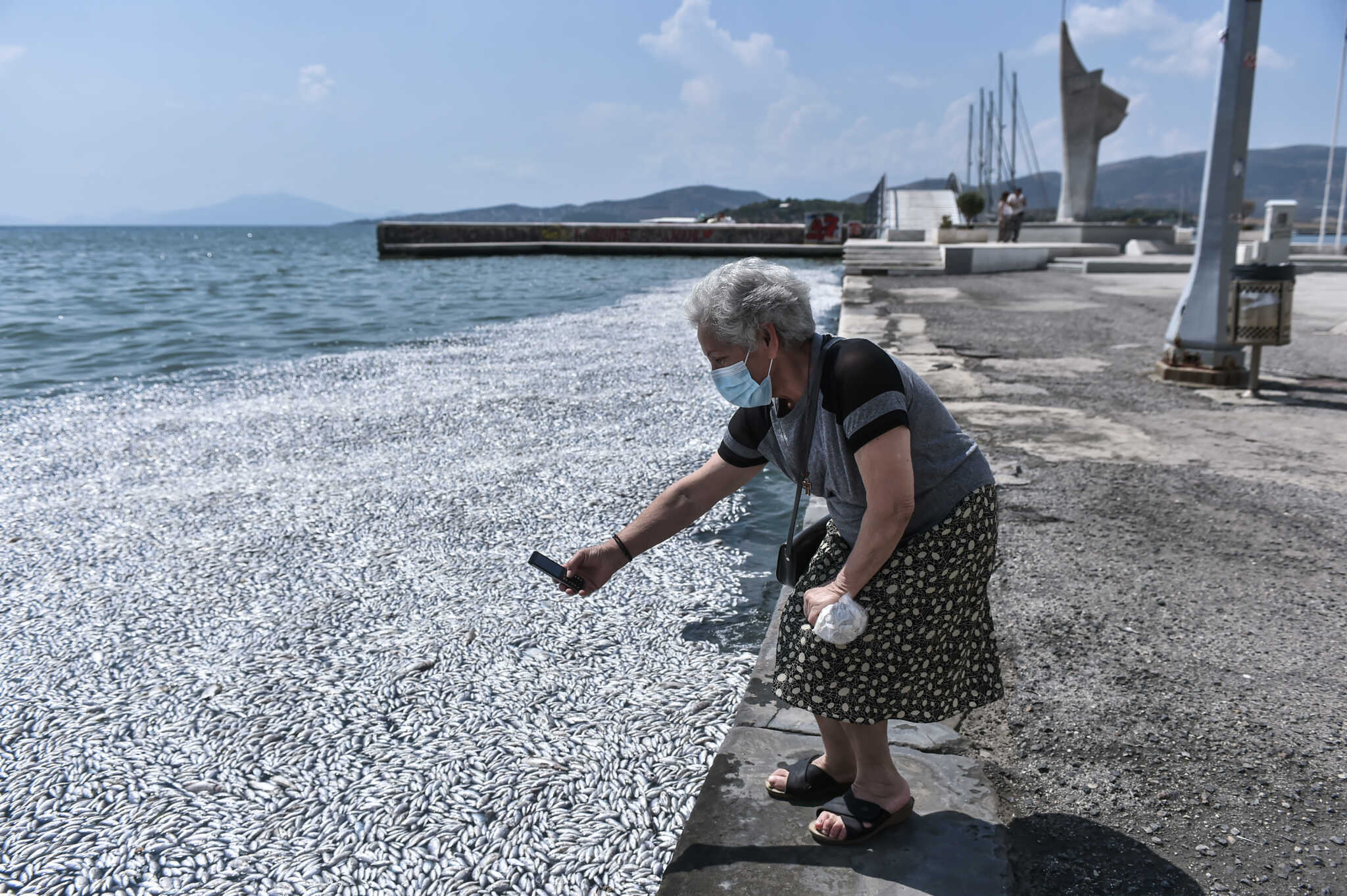 Νεκρά ψάρια στο Βόλο: Παρέμβαση Αρείου Πάγου – Ζητεί κατεπείγουσα έρευνα από την εισαγγελέα της πόλης