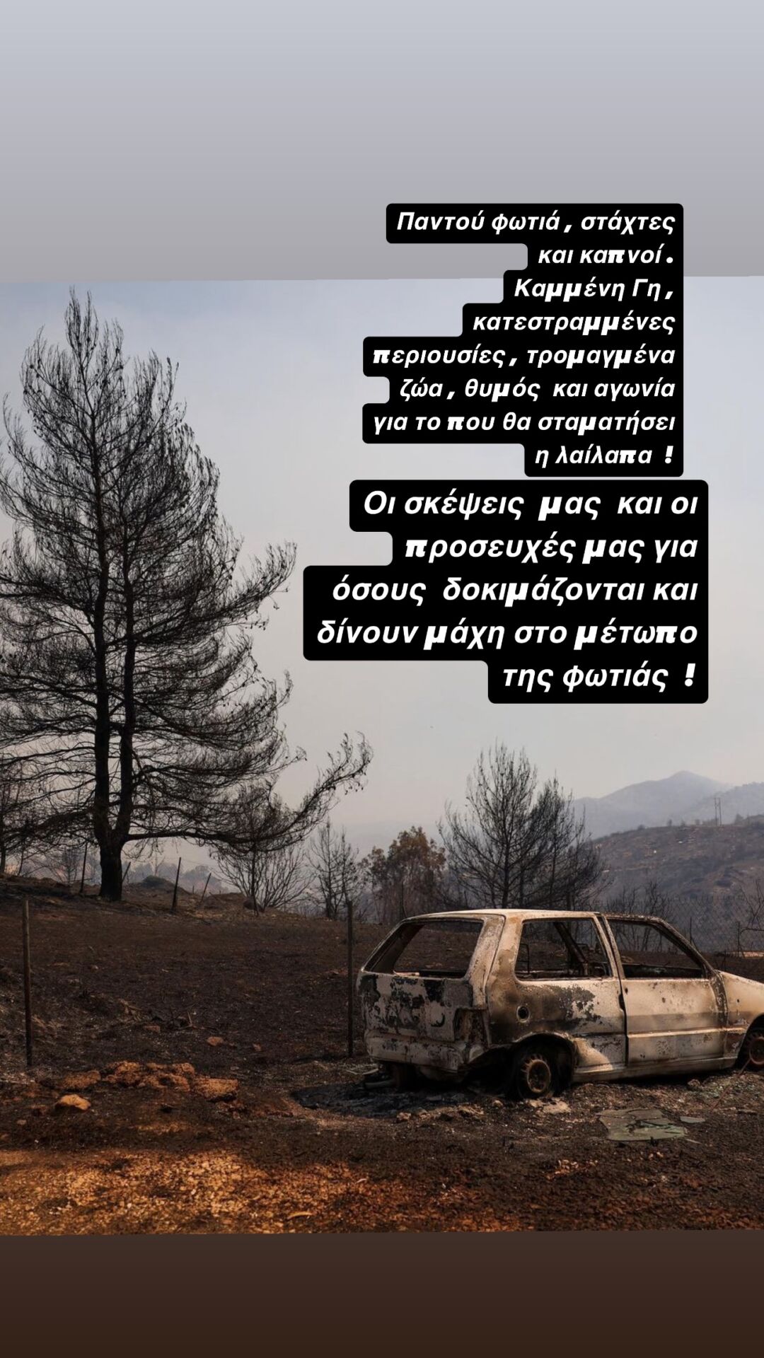 Σταματίνα Τσιμτσιλή για τις φωτιές στην Αττική: Ανήμποροι θεατές στο ίδιο έργο