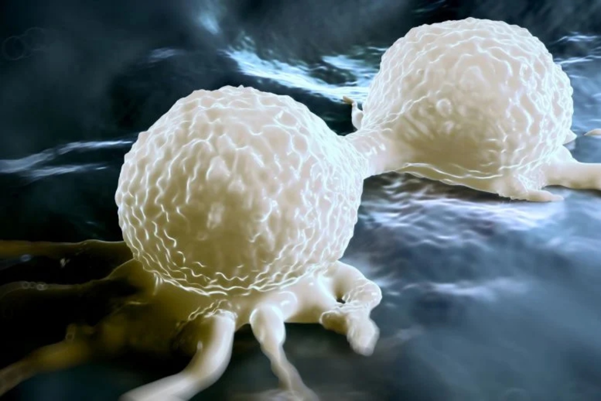 Dividing-Breast-Cancer-Cell-Illustation-777x518-1