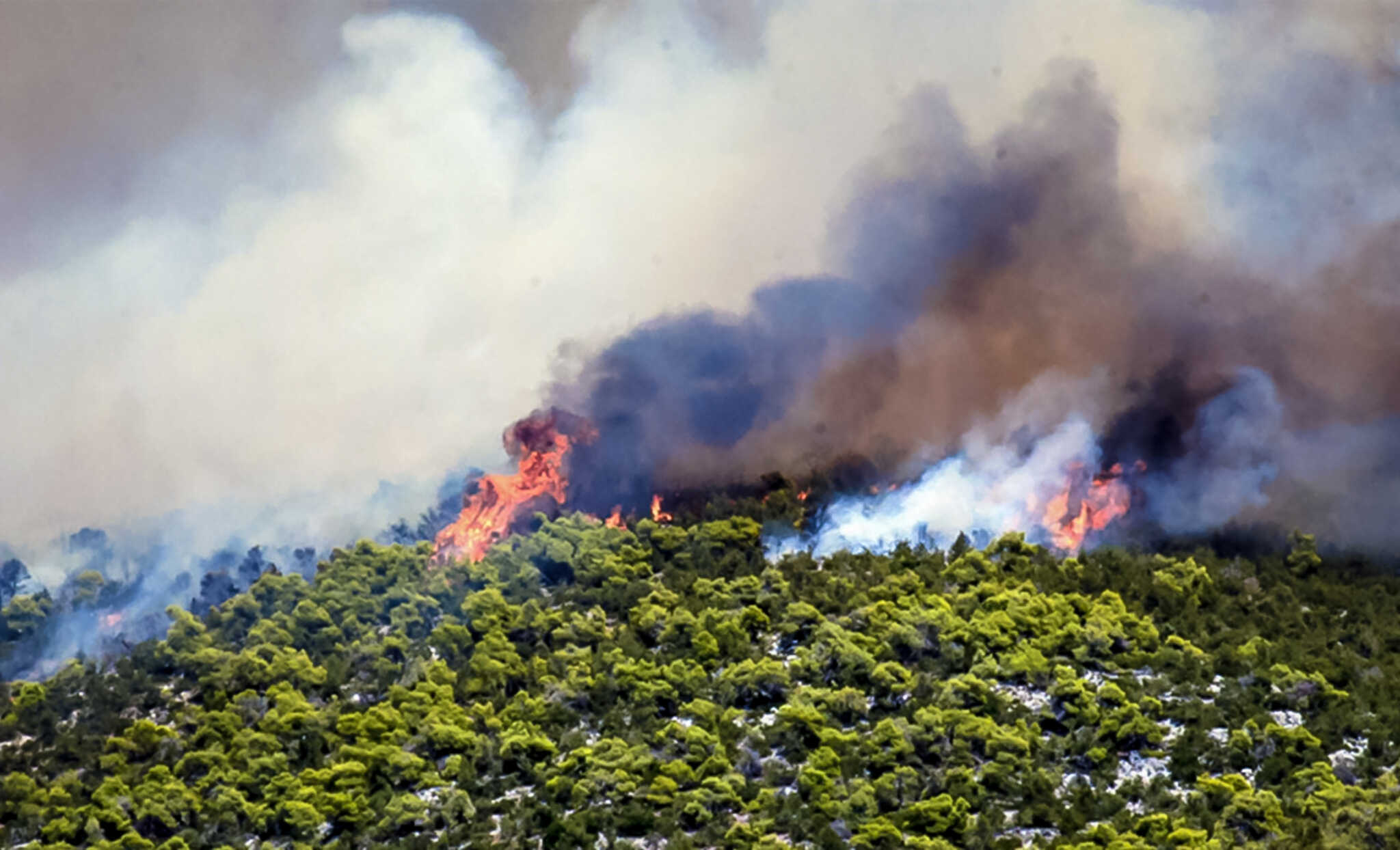 Μεγάλη φωτιά στην Εύβοια, στην περιοχή Αμφιθέα – Ζητήθηκαν εναέρια μέσα
