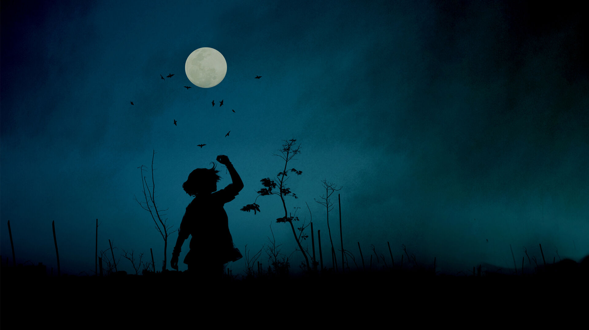 Imagen-tales-horiziontal-2200px