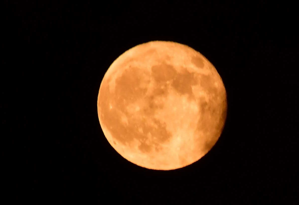 PANSELINOS21562_APEMPE_19092024