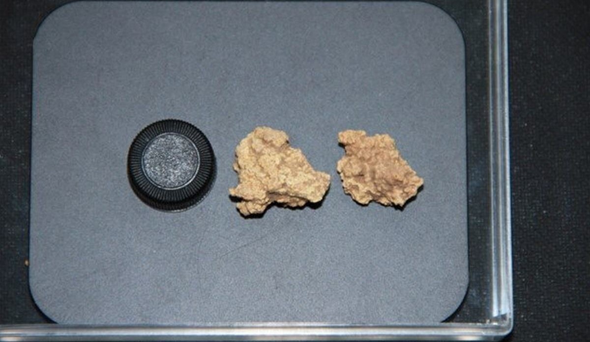 The-pieces-of-solid-kefir-Fu-et-al.-via-SWNS-e1727420817979