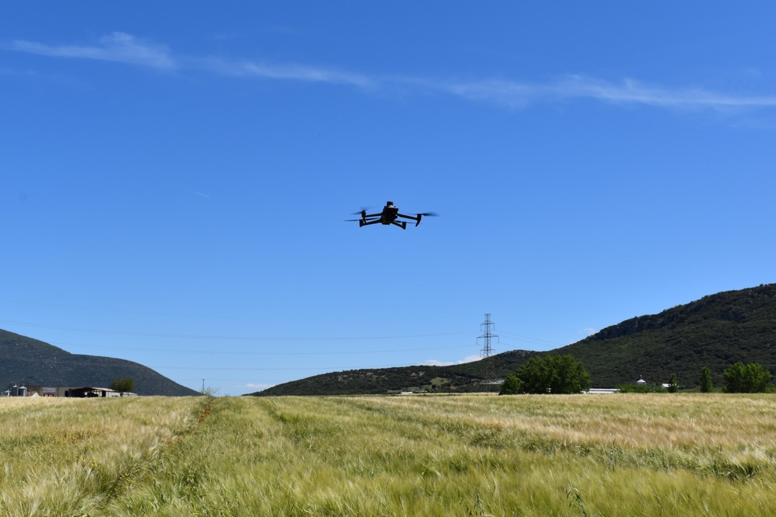 «Έξυπνη Σπορά» από την Αθηναϊκή Ζυθοποιία: Το καινοτόμο πρόγραμμα γεωργίας 3 «Έξυπνη Σπορά» από την Αθηναϊκή Ζυθοποιία: Το καινοτόμο πρόγραμμα γεωργίας