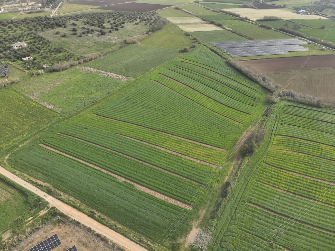«Έξυπνη Σπορά» από την Αθηναϊκή Ζυθοποιία: Το καινοτόμο πρόγραμμα γεωργίας 4 «Έξυπνη Σπορά» από την Αθηναϊκή Ζυθοποιία: Το καινοτόμο πρόγραμμα γεωργίας