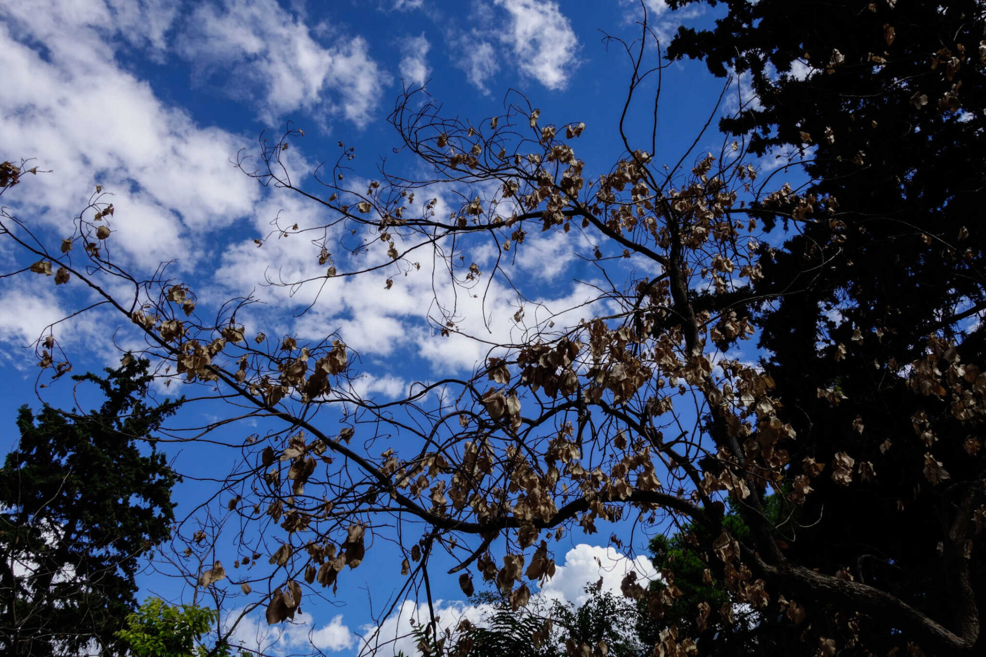 fthiniporo_eurok-2048x1365