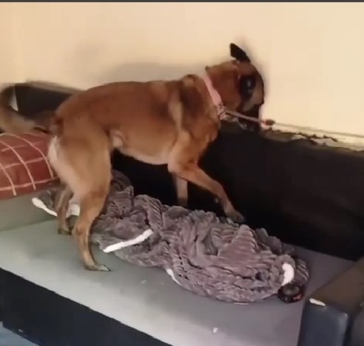 Βίντεο ντοκουμέντο από την έφοδο της αστυνομίας σε καταυλισμούς Ρομά: «Βγείτε έξω με τα χέρια ψηλά» 6 Βίντεο ντοκουμέντο από την έφοδο της αστυνομίας σε καταυλισμούς Ρομά: «Βγείτε έξω με τα χέρια ψηλά»