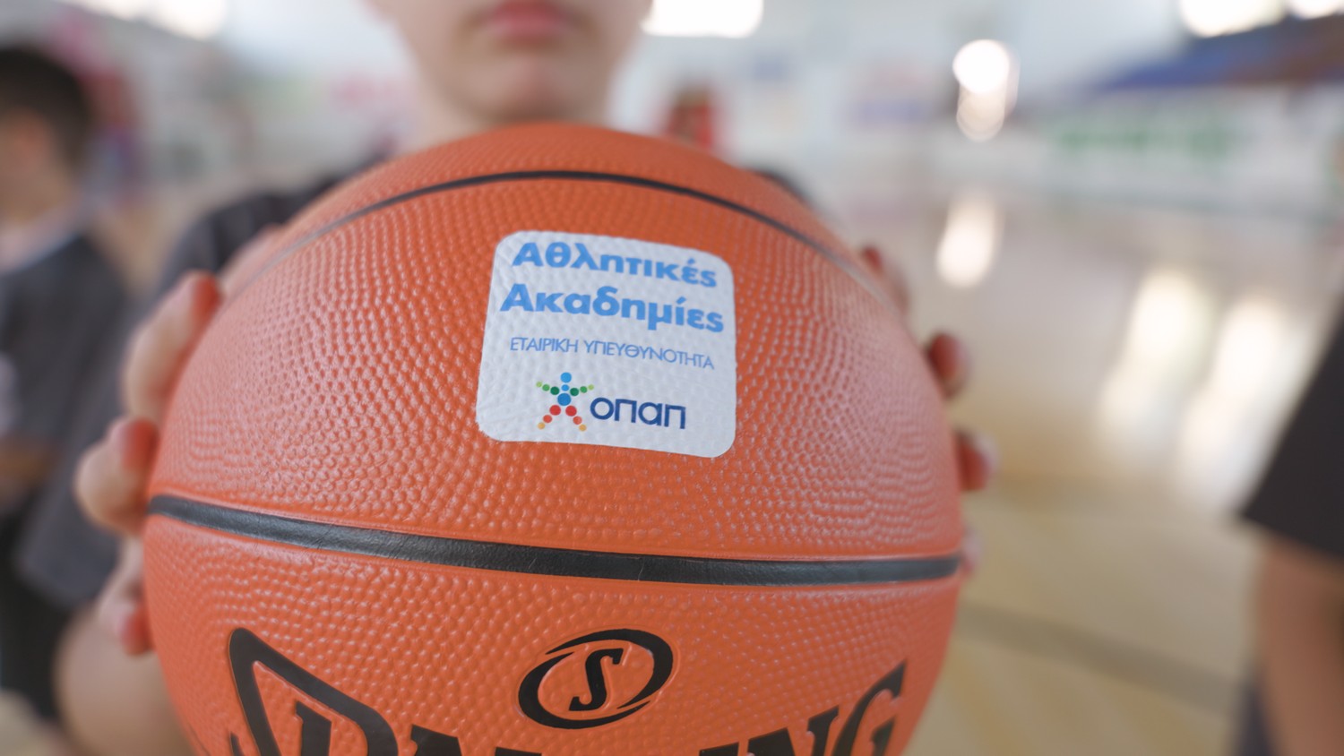 Οι Αθλητικές Ακαδημίες ΟΠΑΠ δίνουν πνοή στον αθλητισμό της Περιφέρειας – Η συμβολή του προγράμματος στην ακριτική Παραμυθιά 4 Οι Αθλητικές Ακαδημίες ΟΠΑΠ δίνουν πνοή στον αθλητισμό της Περιφέρειας – Η συμβολή του προγράμματος στην ακριτική Παραμυθιά