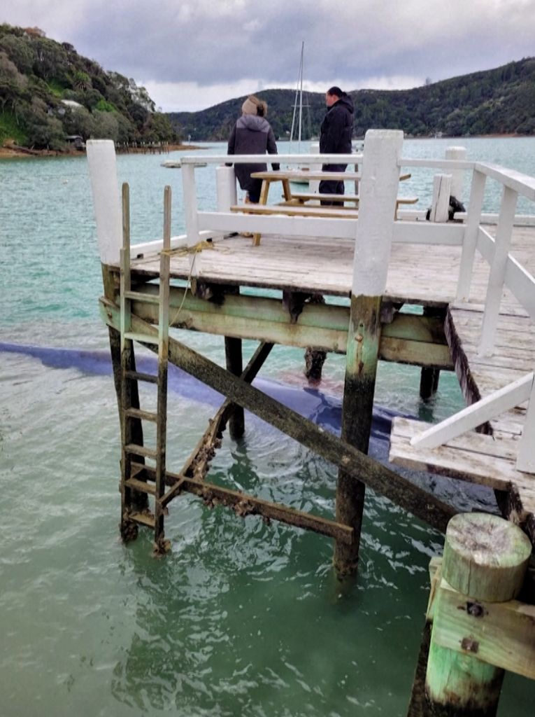 Νέα Ζηλανδία: Διασώστες αποσυναρμολογούν προβλήτα για να απελευθερώσουν παγιδευμένη φάλαινα (βίντεο – φωτογραφίες) 10 Νέα Ζηλανδία: Διασώστες αποσυναρμολογούν προβλήτα για να απελευθερώσουν παγιδευμένη φάλαινα (βίντεο – φωτογραφίες)