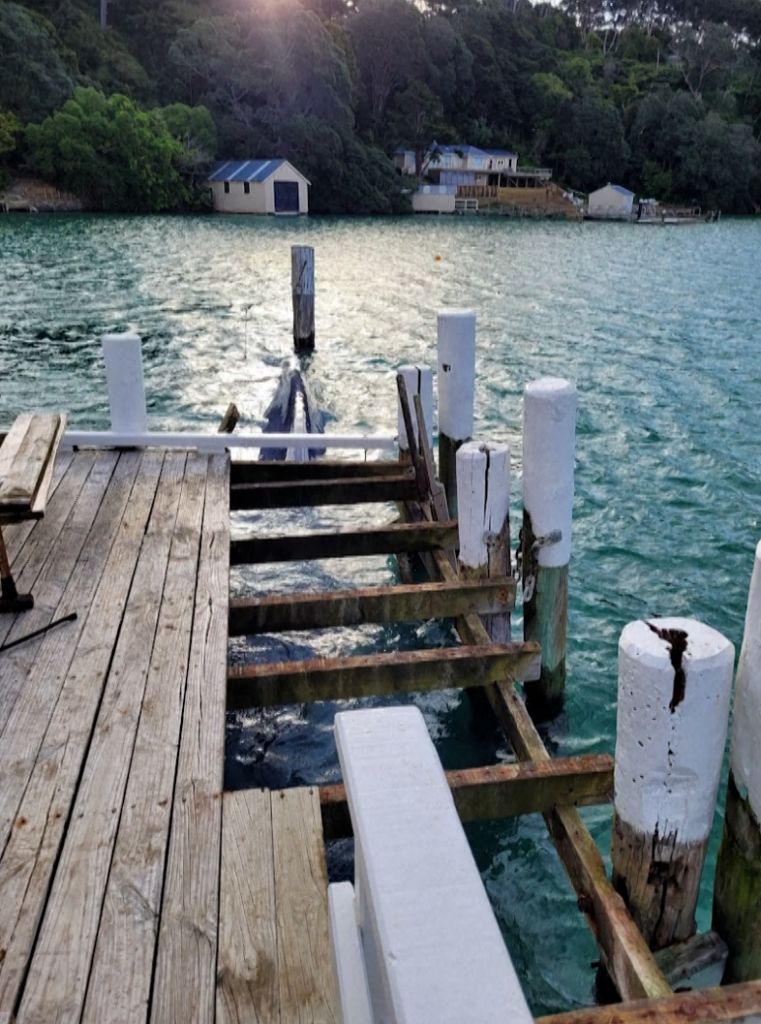Νέα Ζηλανδία: Διασώστες αποσυναρμολογούν προβλήτα για να απελευθερώσουν παγιδευμένη φάλαινα (βίντεο – φωτογραφίες) 12 Νέα Ζηλανδία: Διασώστες αποσυναρμολογούν προβλήτα για να απελευθερώσουν παγιδευμένη φάλαινα (βίντεο – φωτογραφίες)