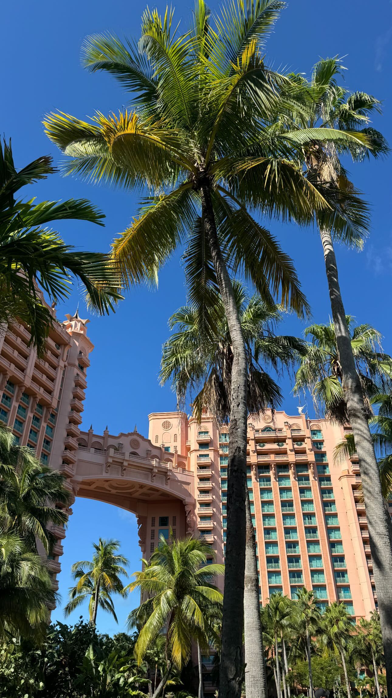 Ιωάννα Τούνη – Δημήτρης Αλεξάνδρου: Ταξίδεψαν στις Μπαχάμες με τον Πάρη – Οι πρώτες εικόνες από τον εξωτικό προορισμό