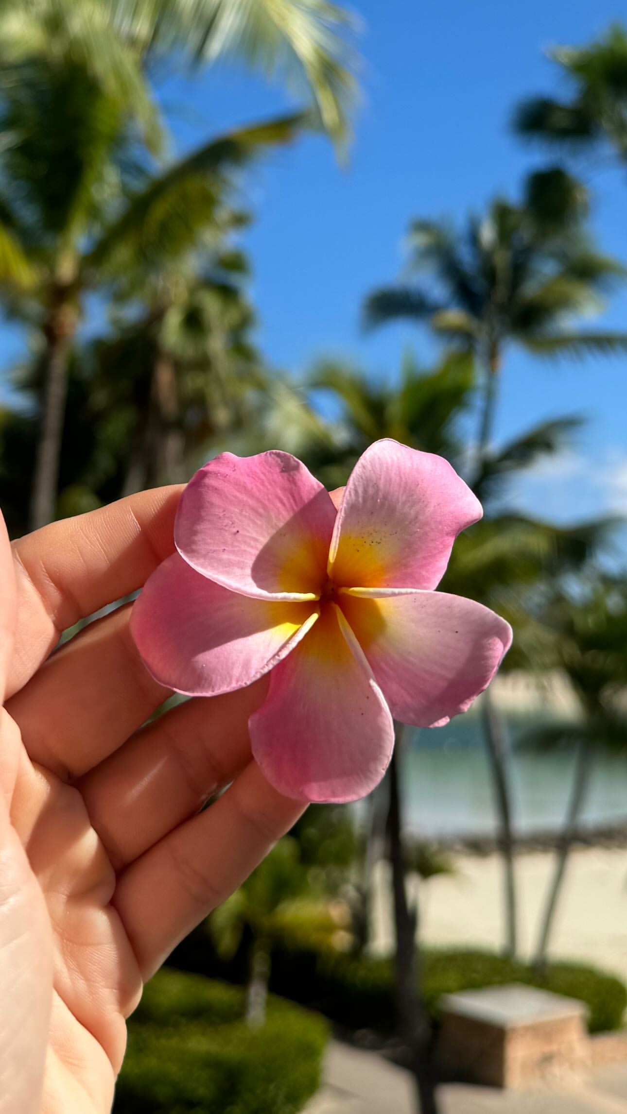 Ιωάννα Τούνη – Δημήτρης Αλεξάνδρου: Ταξίδεψαν στις Μπαχάμες με τον Πάρη – Οι πρώτες εικόνες από τον εξωτικό προορισμό