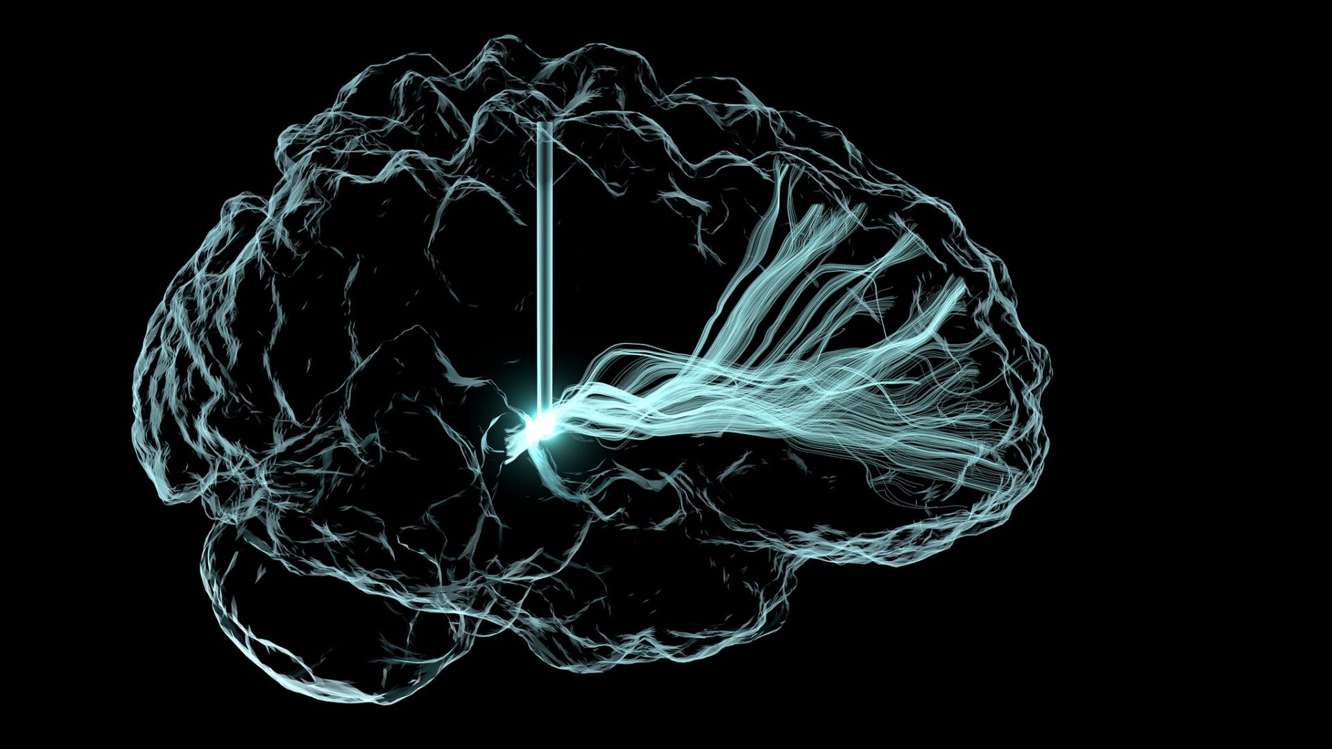 48488718106_99c21f5238_k