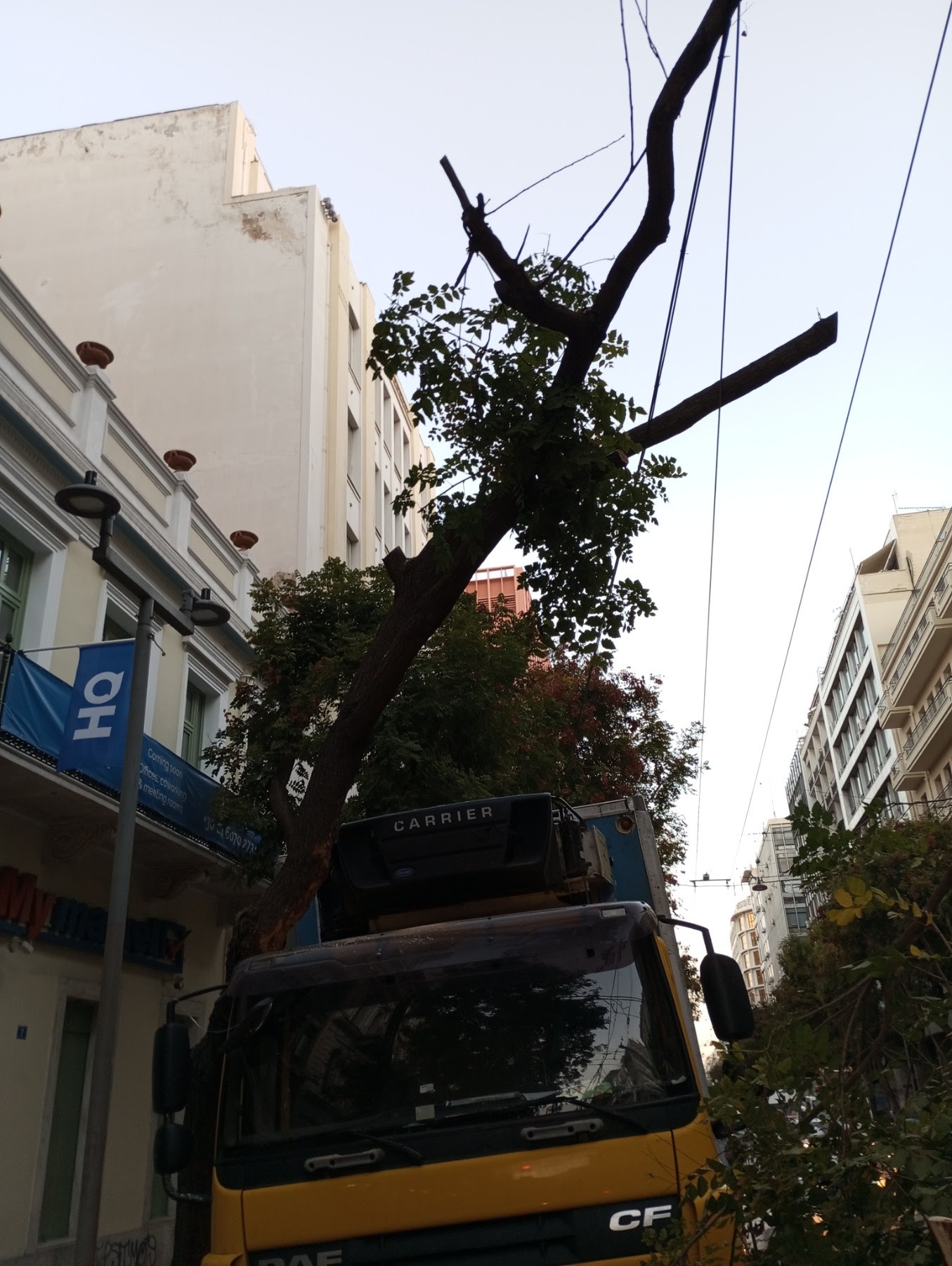 Πτώση δέντρου στην Πατησίων: «Ευθύνεται ο οδηγός της νταλίκας» λέει ο δήμος Αθηναίων