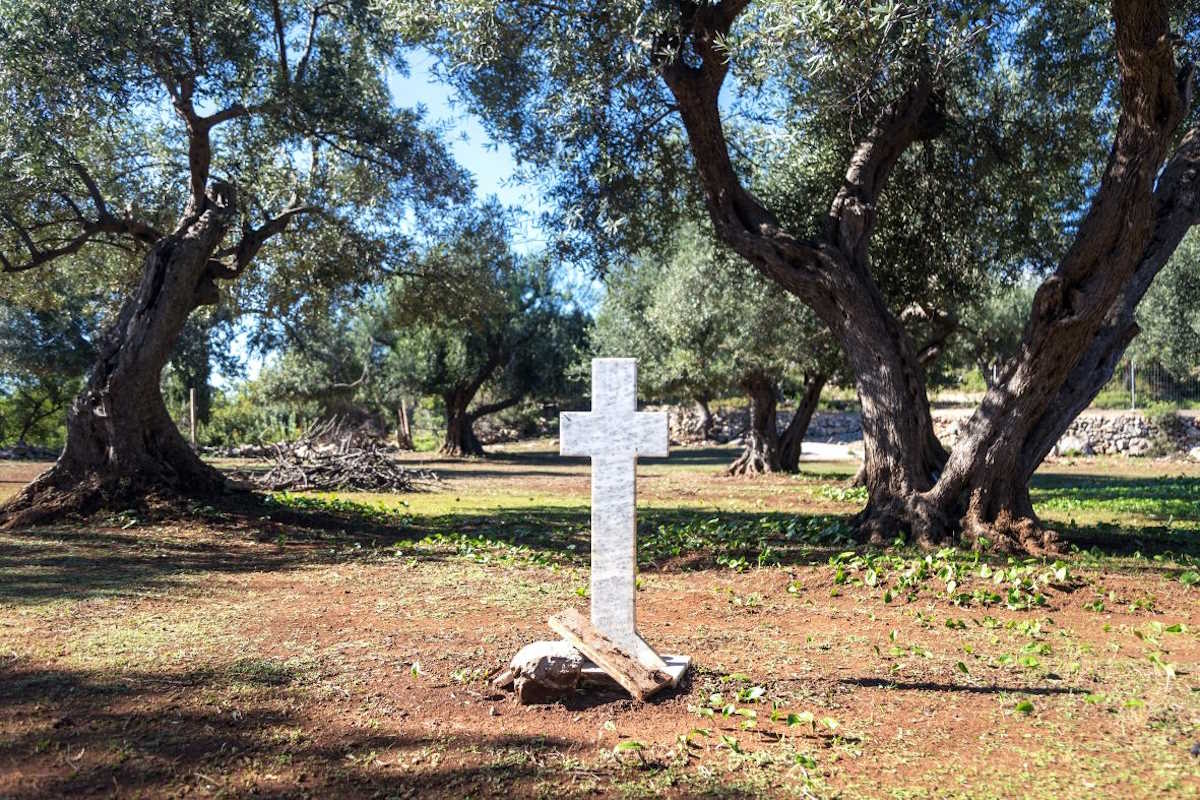 28η Οκτωβρίου 2024: Οδοιπορικό τιμής και μνήμης εκεί που γράφτηκε το Έπος του 1940 6 28η Οκτωβρίου 2024: Οδοιπορικό τιμής και μνήμης εκεί που γράφτηκε το Έπος του 1940