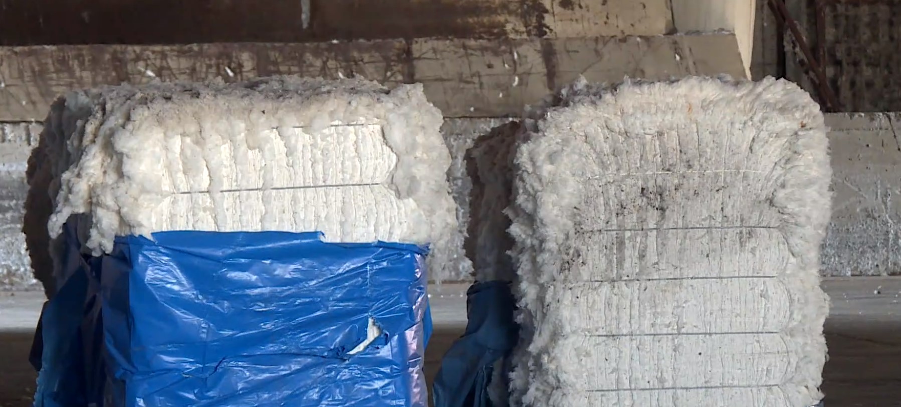 CEB2CEB1CEBCCEB2CEACCEBACEB9