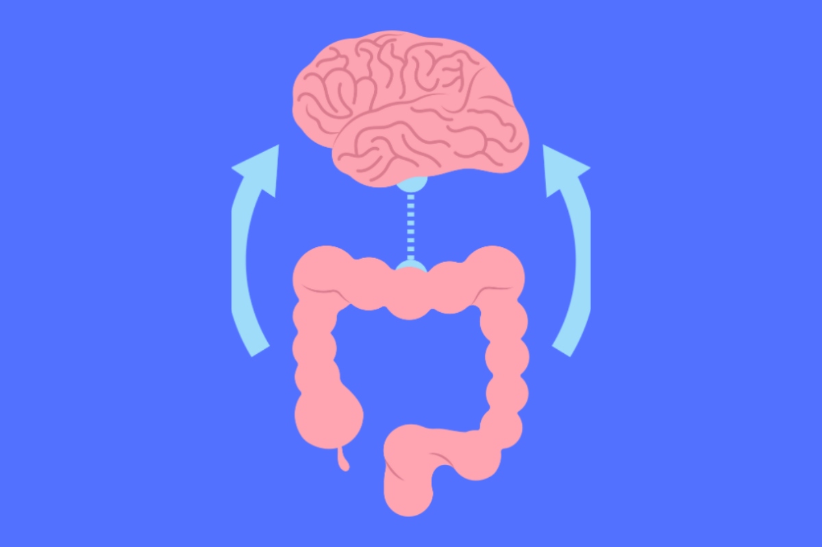 Gut-Brain-featured