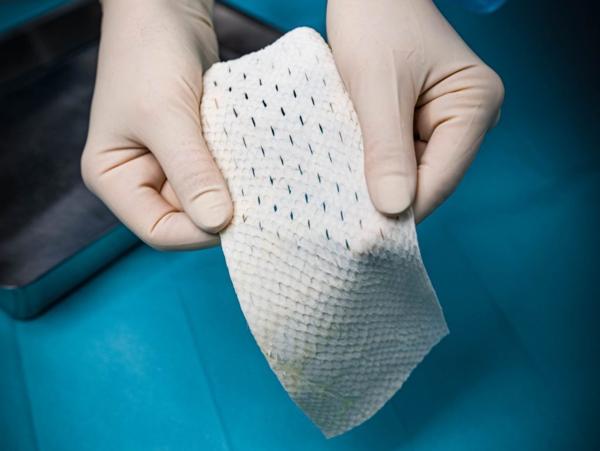 SurgiBind_cr-1024x770-1