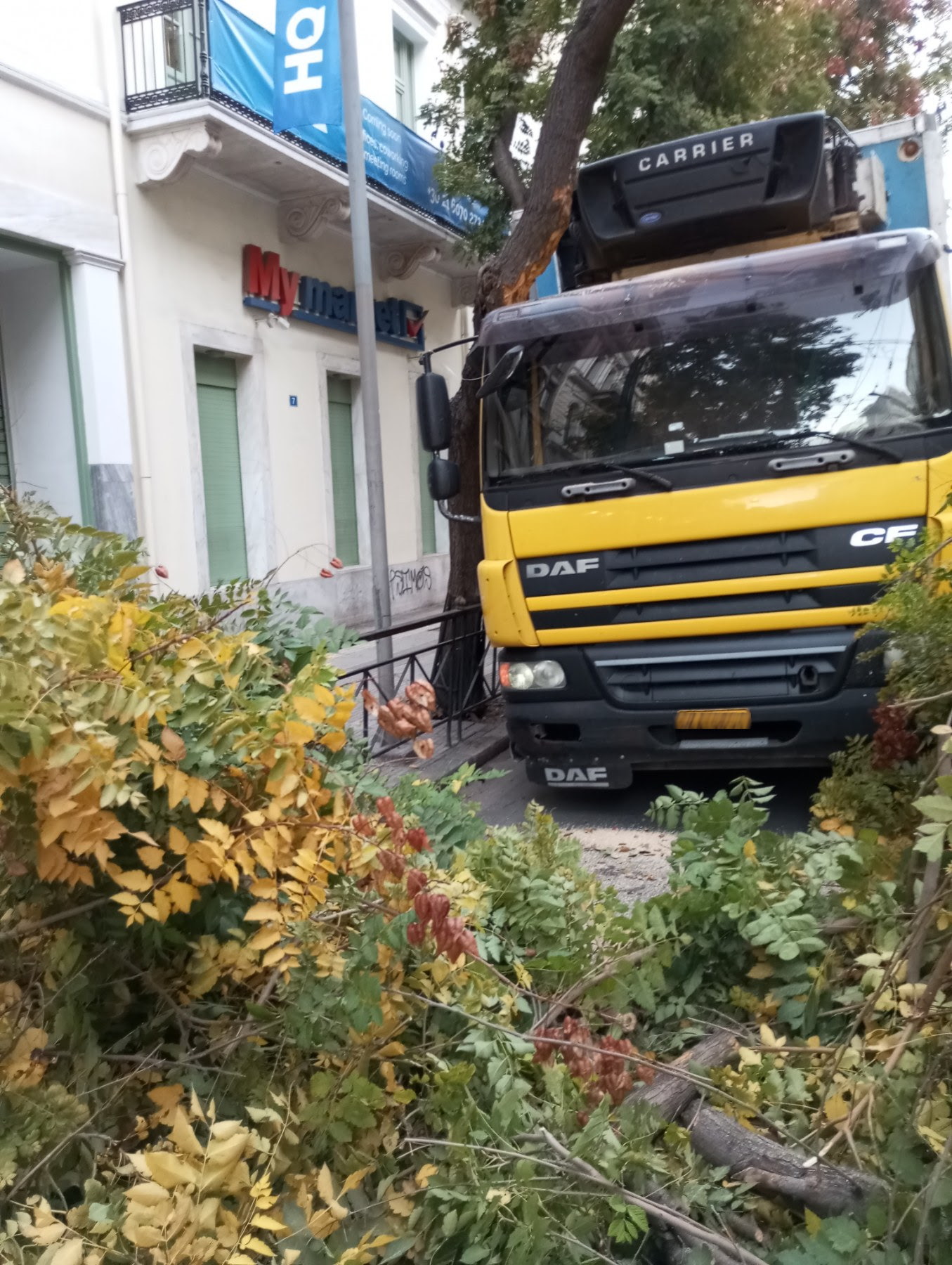 Πτώση δέντρου στην Πατησίων: «Ευθύνεται ο οδηγός της νταλίκας» λέει ο δήμος Αθηναίων