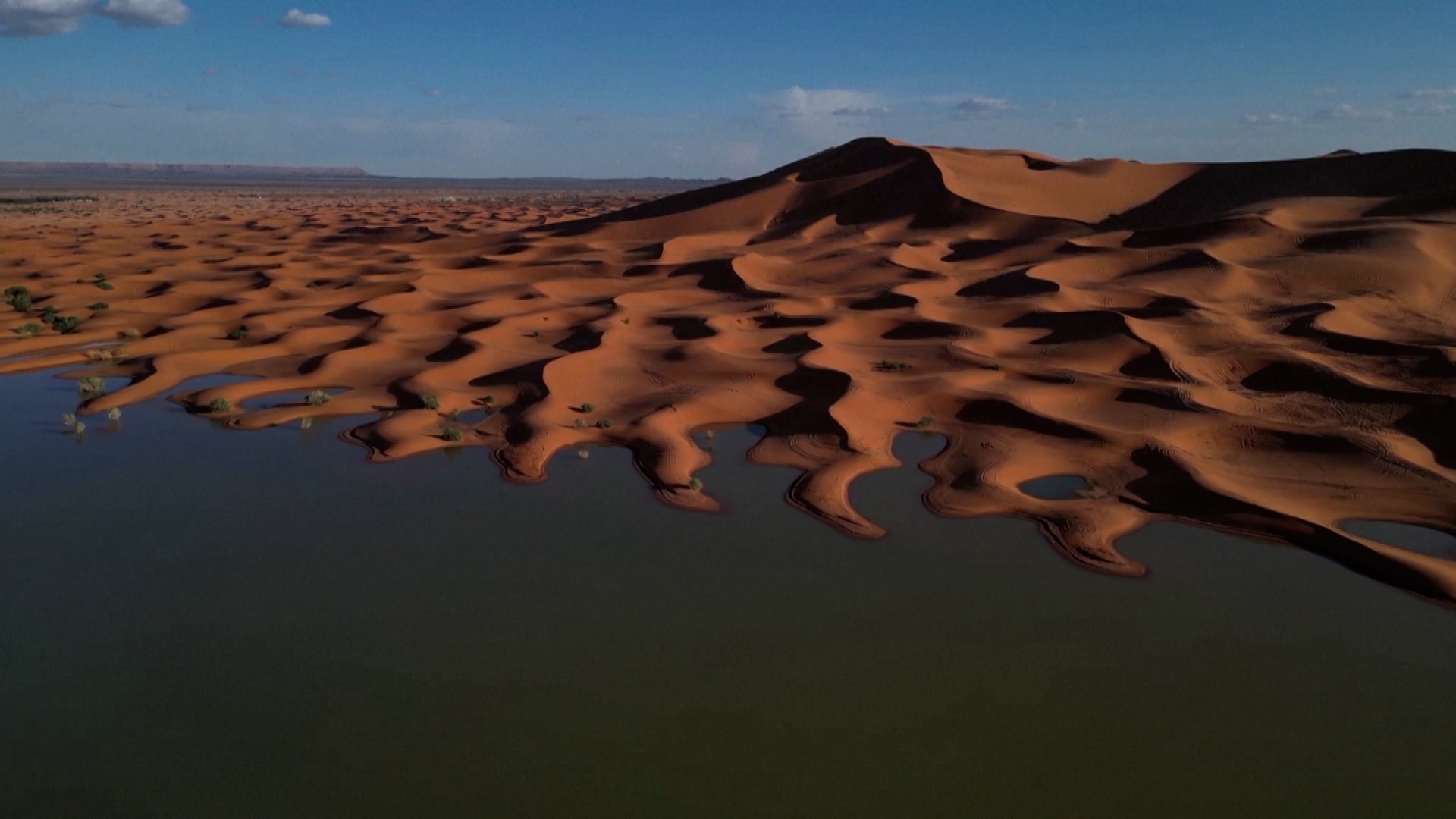 ertnews-rec-sdi_20241025_160200.00_17_54_08.Still034