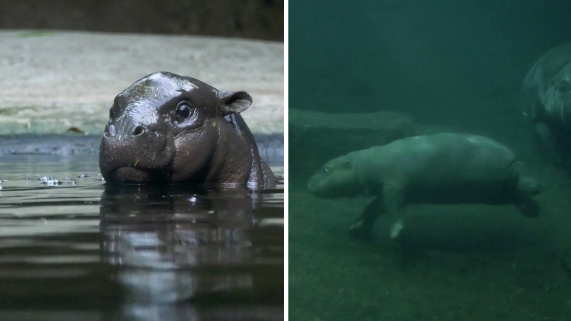 ertnews-rec-sdi_20241029_155700.00_04_43_22.Still025