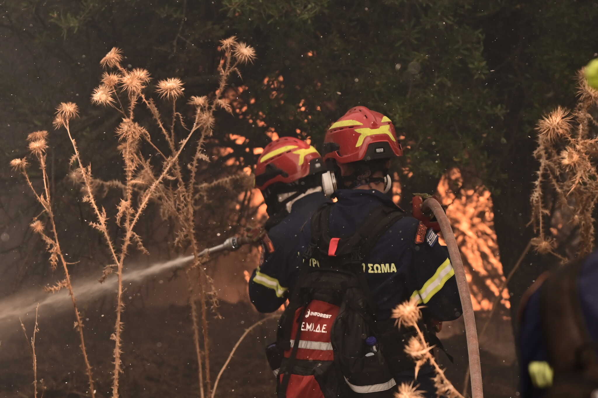 Σε Σοφιανά, Σπατανέϊκα, Ψαθοχώρι, Ευρωστίνα και Μαύρο Όρος η μάχη με τη λαίλαπα στην Κορινθία – «Σοβαρή και κρίσιμη η κατάσταση» λέει ο Κικίλιας