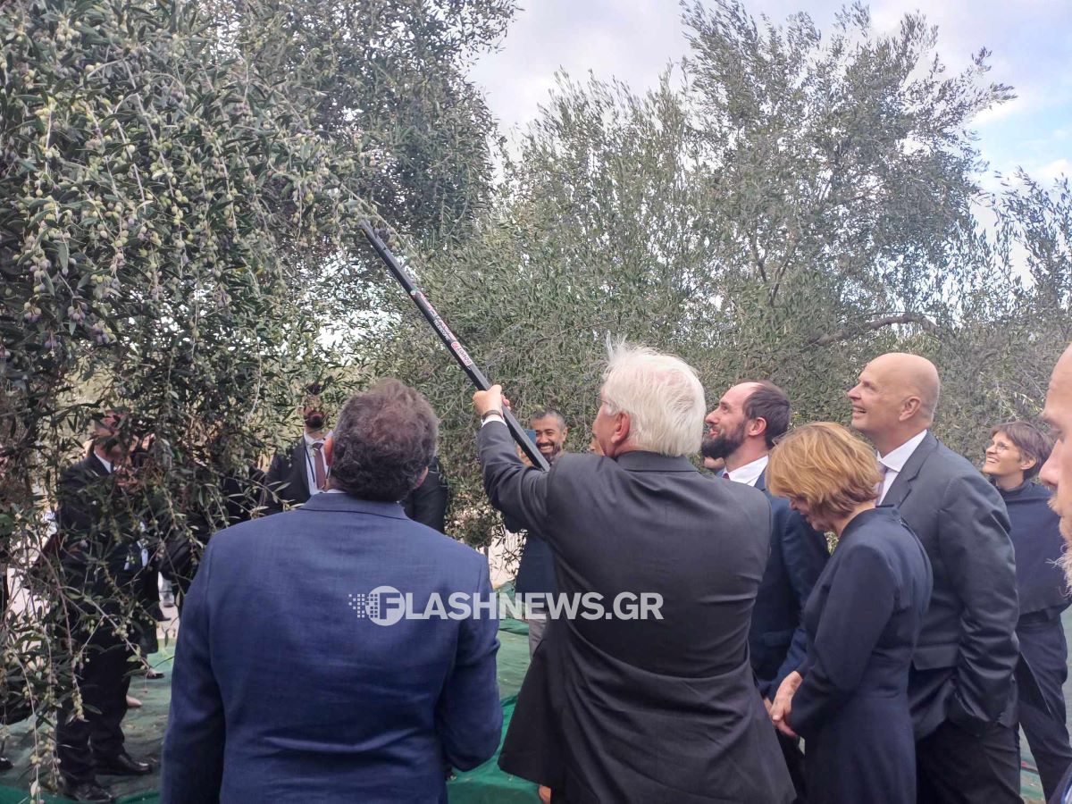 Όταν ο Σταϊνμάιερ ράβδισε ελιές στα Χανιά – Δοκίμασε ελαιόλαδο από σομελιέ