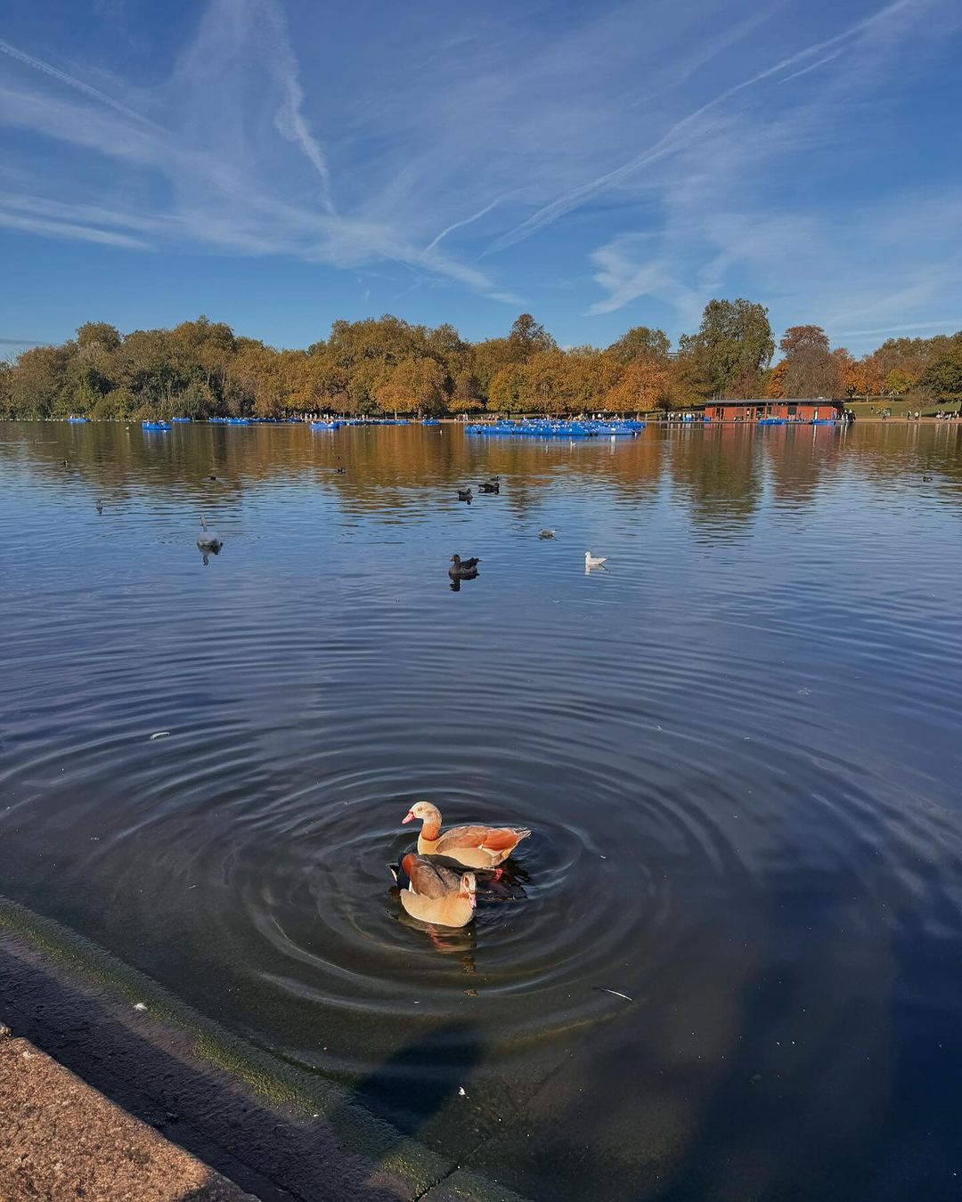 Μαριέττα Χρουσαλά: Οι φωτογραφίες από το οικογενειακό ταξίδι στο Λονδίνο