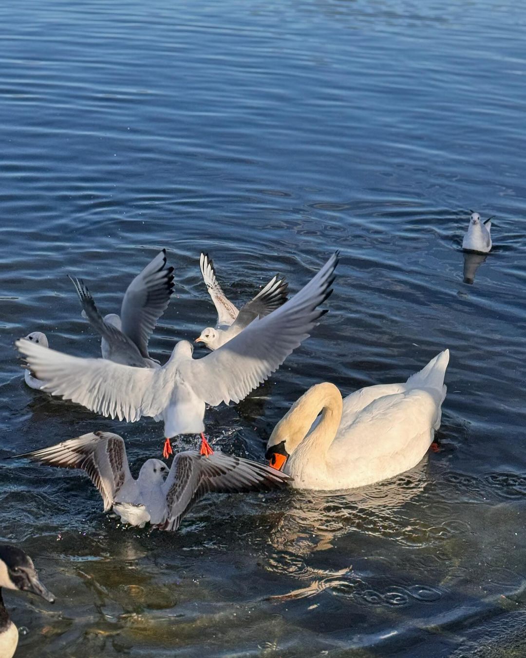 Μαριέττα Χρουσαλά: Οι φωτογραφίες από το οικογενειακό ταξίδι στο Λονδίνο
