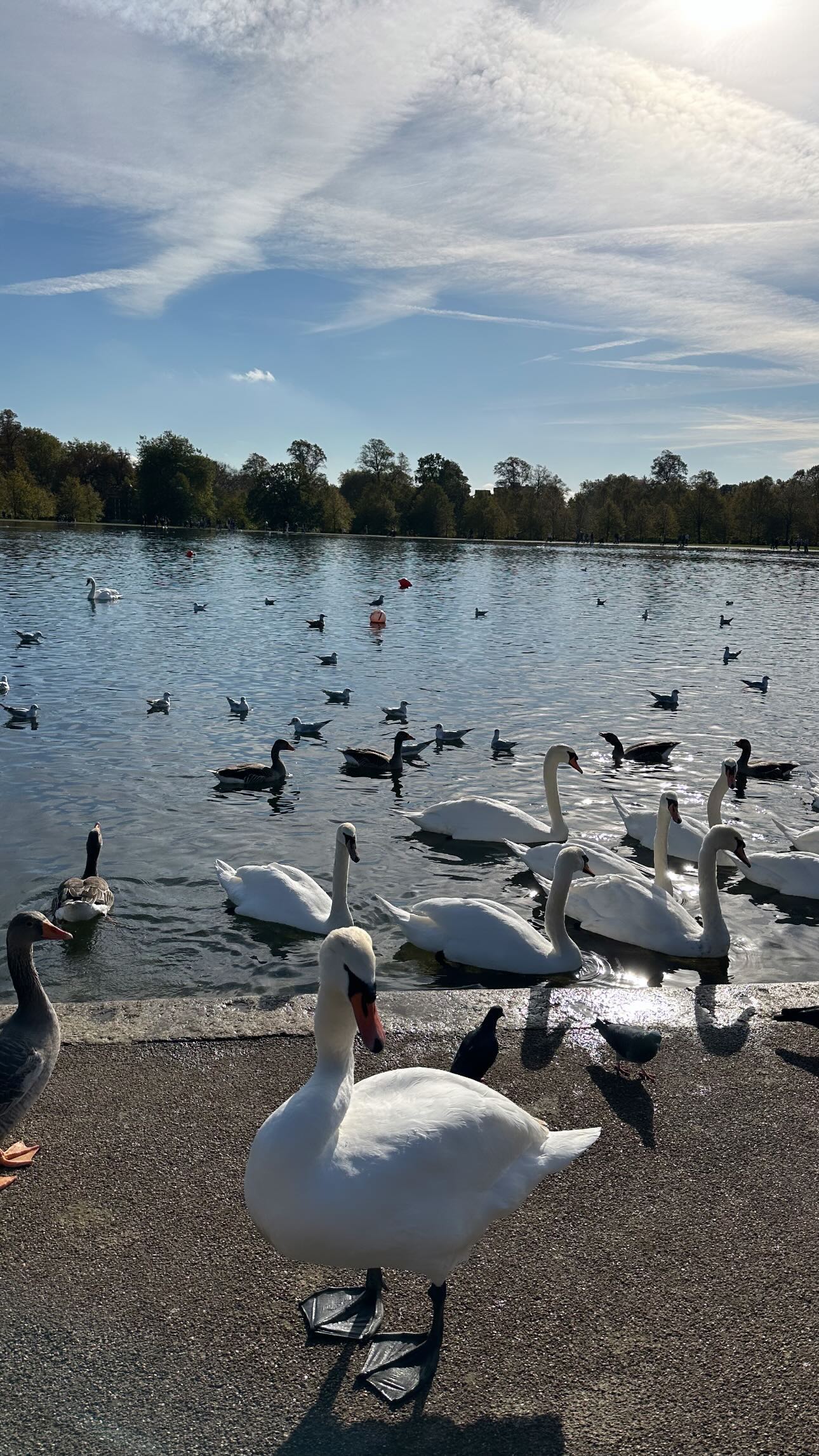 Βίκυ Καγιά: Στο Λονδίνο με τα παιδιά της – Το φωτογραφικό άλμπουμ του ταξιδιού της