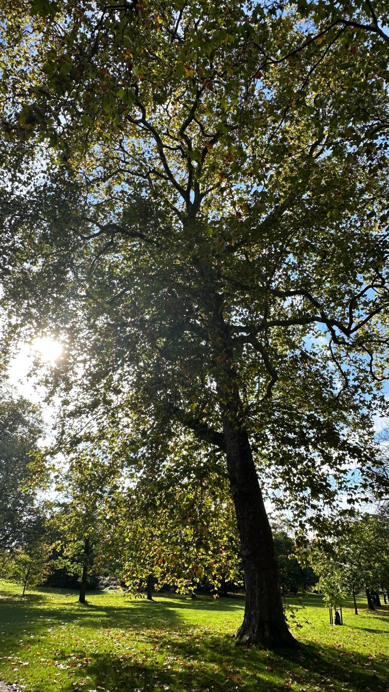 Βίκυ Καγιά: Στο Λονδίνο με τα παιδιά της – Το φωτογραφικό άλμπουμ του ταξιδιού της