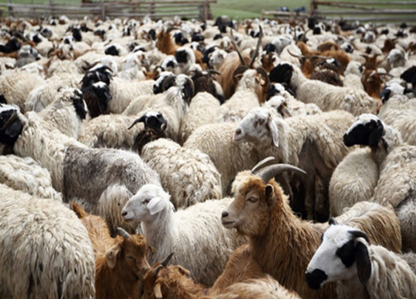 CE91CE99CE93CE9FCEA0CEA1CE9FCE92CE91CEA4CE91