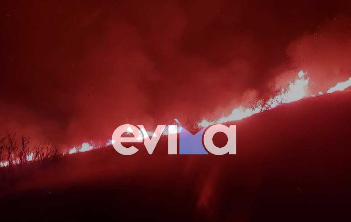 Σημαντική πυρκαγιά κοντά στα Στύρα Ευβοίας – Συναγερμός στην Πυροσβεστική