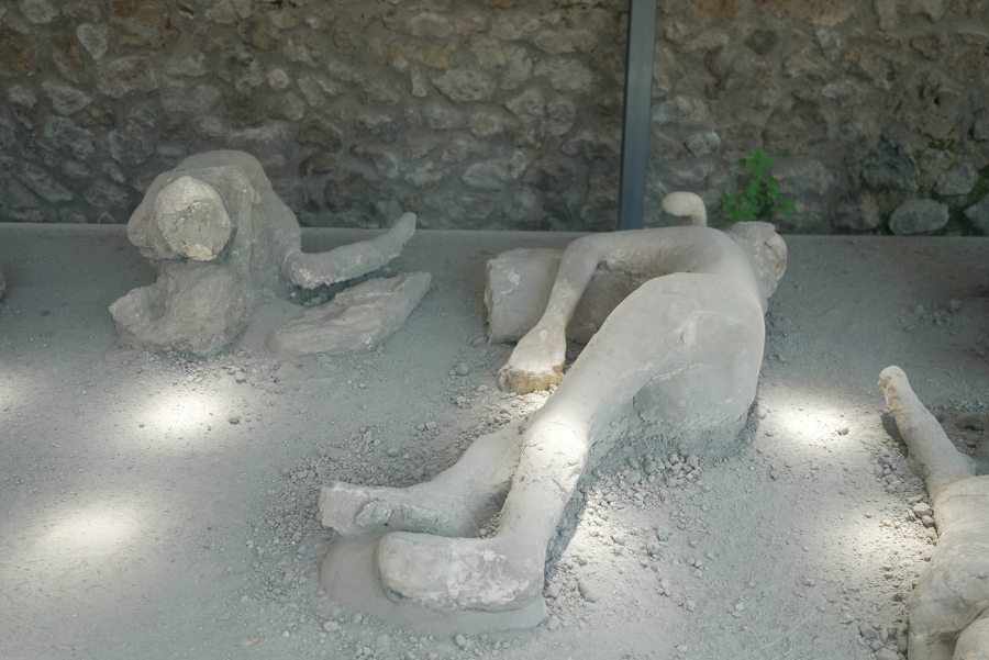 Το “Happy Traveller” στην Νάπολη και τον Βεζούβιο