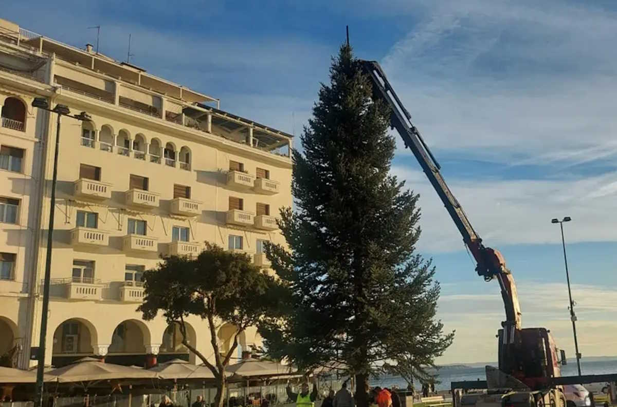 Το χριστουγεννιάτικο δέντρο έφτασε στην Αριστοτέλους – Θα ανανεωθεί 30 Νοεμβρίου στην πρεμιέρα του Μετρό