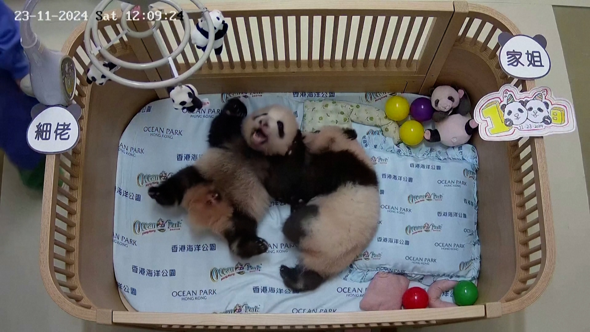 KAIROS_2511_D18.00_53_09_17.Still011