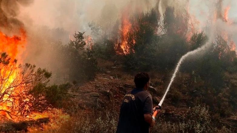 Υπό περιορισμένο έλεγχο η φωτιά στην Αλίαρτο Βοιωτίας